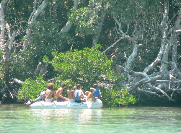 06- Exploration de la mangrove 